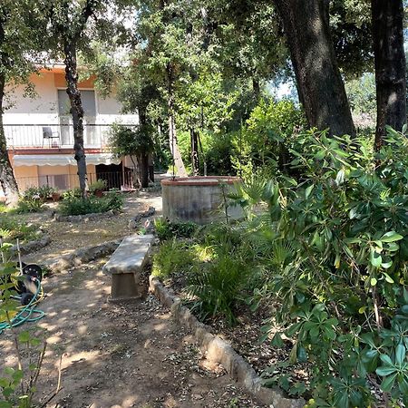 Giardino Sud - A Pochi Passi Dal Mare Lejlighed San Vincenzo Eksteriør billede