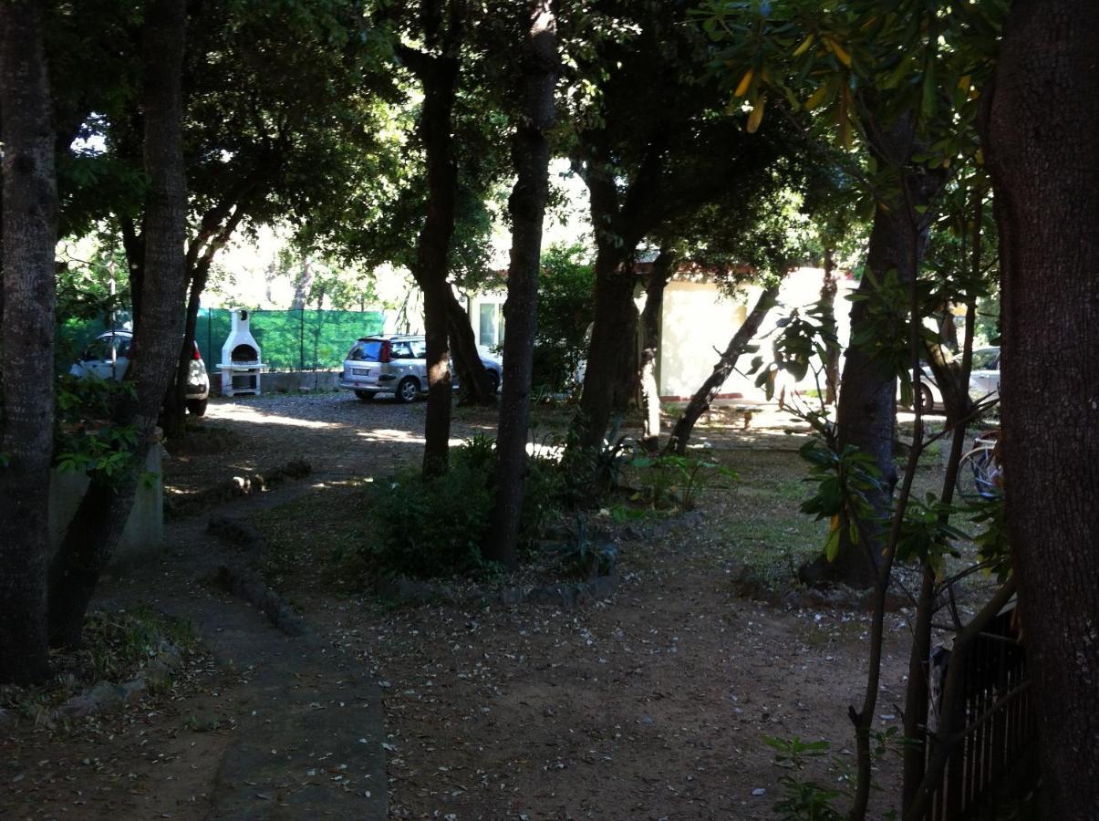 Giardino Sud - A Pochi Passi Dal Mare Lejlighed San Vincenzo Eksteriør billede