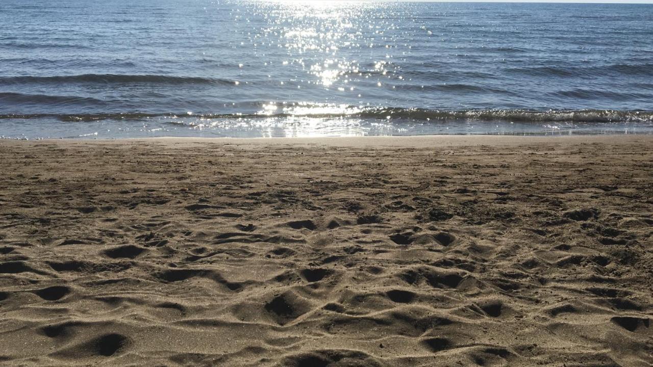Giardino Sud - A Pochi Passi Dal Mare Lejlighed San Vincenzo Eksteriør billede