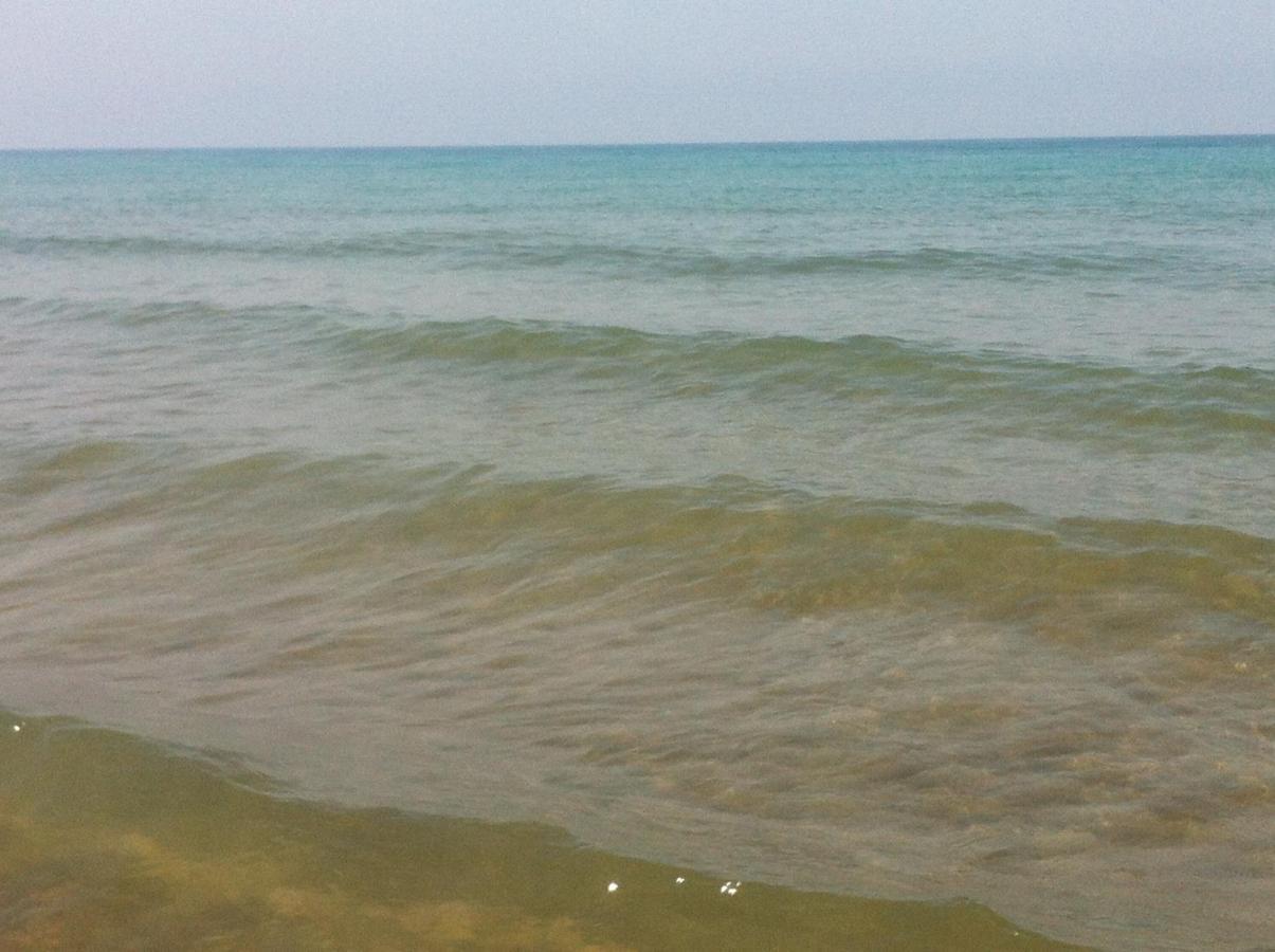 Giardino Sud - A Pochi Passi Dal Mare Lejlighed San Vincenzo Eksteriør billede
