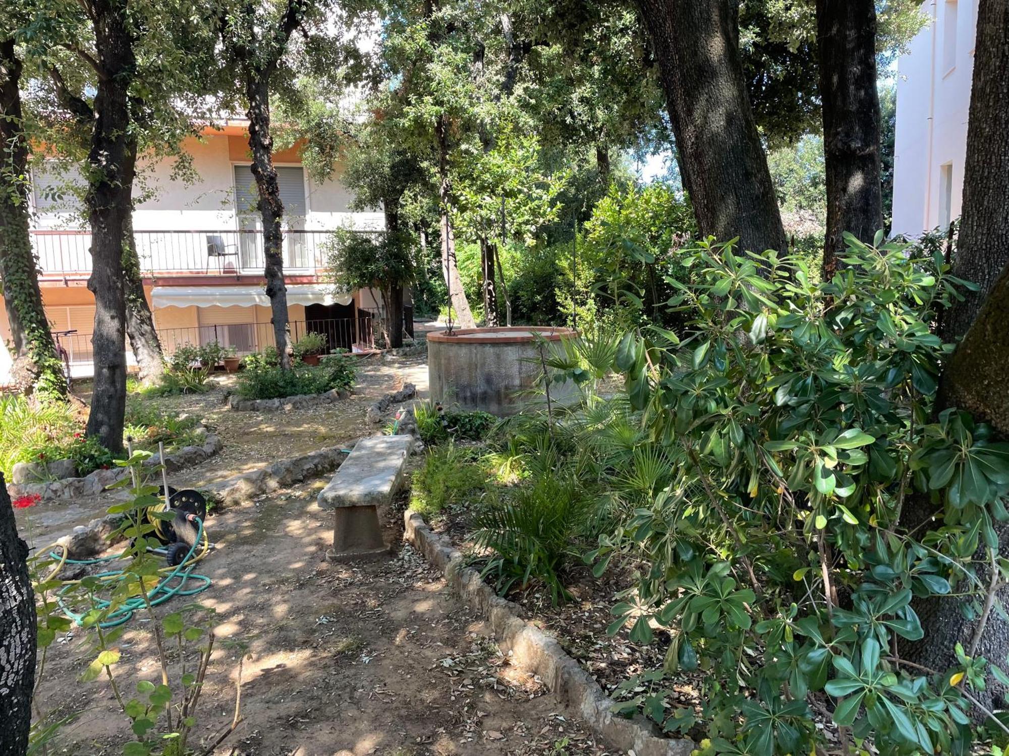 Giardino Sud - A Pochi Passi Dal Mare Lejlighed San Vincenzo Eksteriør billede